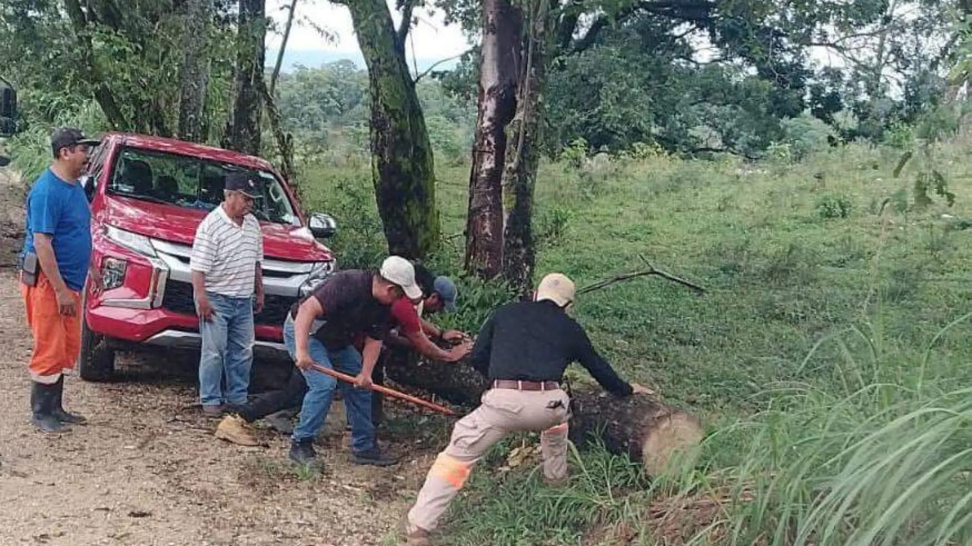 personas retirando los árboles caídos